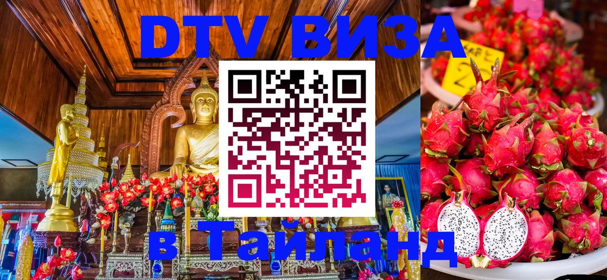 Оформление DTV визы под ключ: стоимость и тарифы, только загранпаспорт - Находка  18.11.2025 